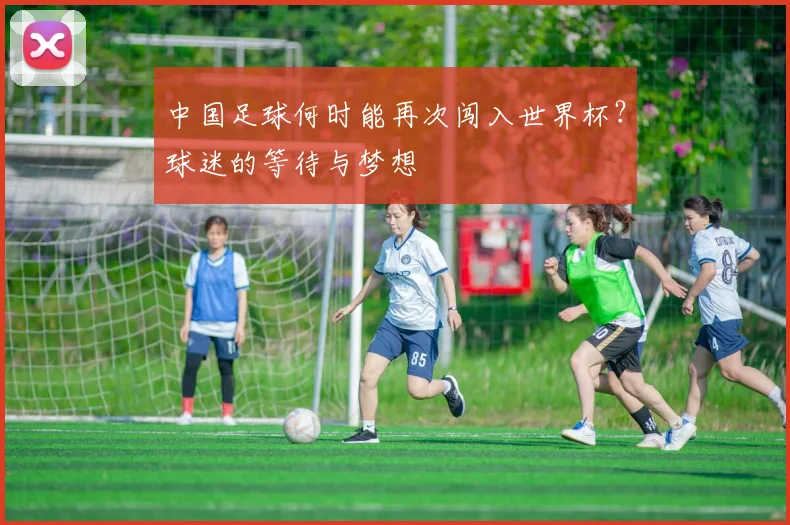 中国足球何时能再次闯入世界杯?球迷的等待与梦想
