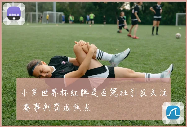 小罗世界杯红牌是否冤枉引发关注 赛事判罚成焦点