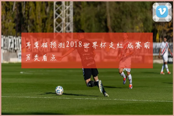 耳聋猫预测2018世界杯走红 成赛前另类看点