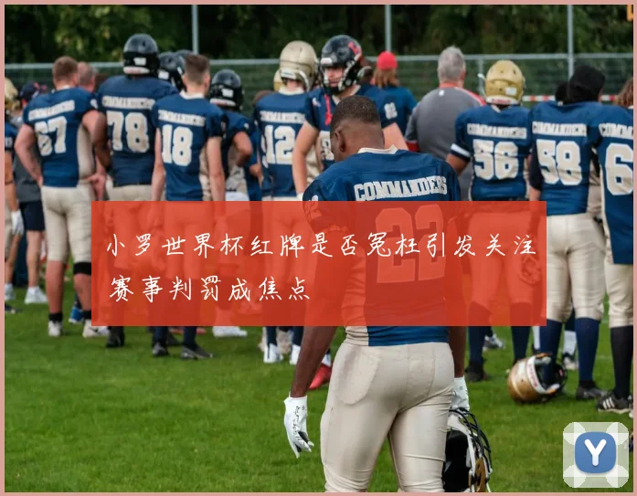 小罗世界杯红牌是否冤枉引发关注 赛事判罚成焦点
