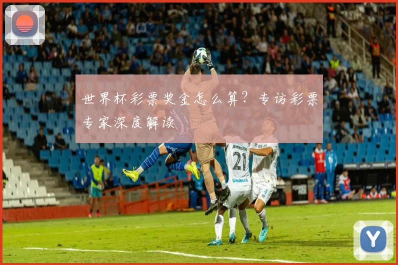 世界杯彩票奖金怎么算?专访彩票专家深度解读
