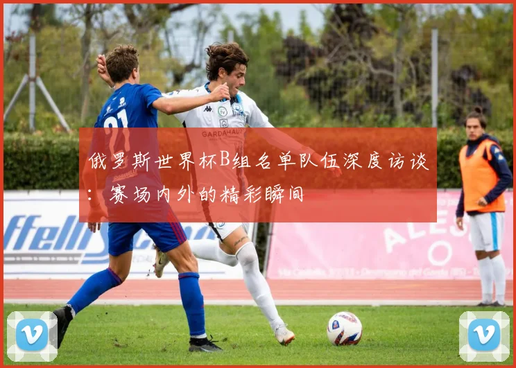 俄罗斯世界杯B组名单队伍深度访谈：赛场内外的精彩瞬间