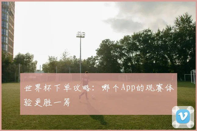 世界杯下单攻略：哪个App的观赛体验更胜一筹