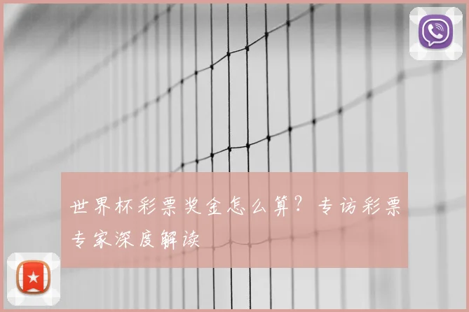 世界杯彩票奖金怎么算？专访彩票专家深度解读