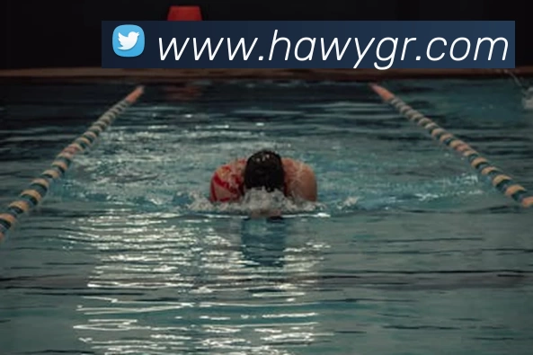 爱游戏官网平台生态图